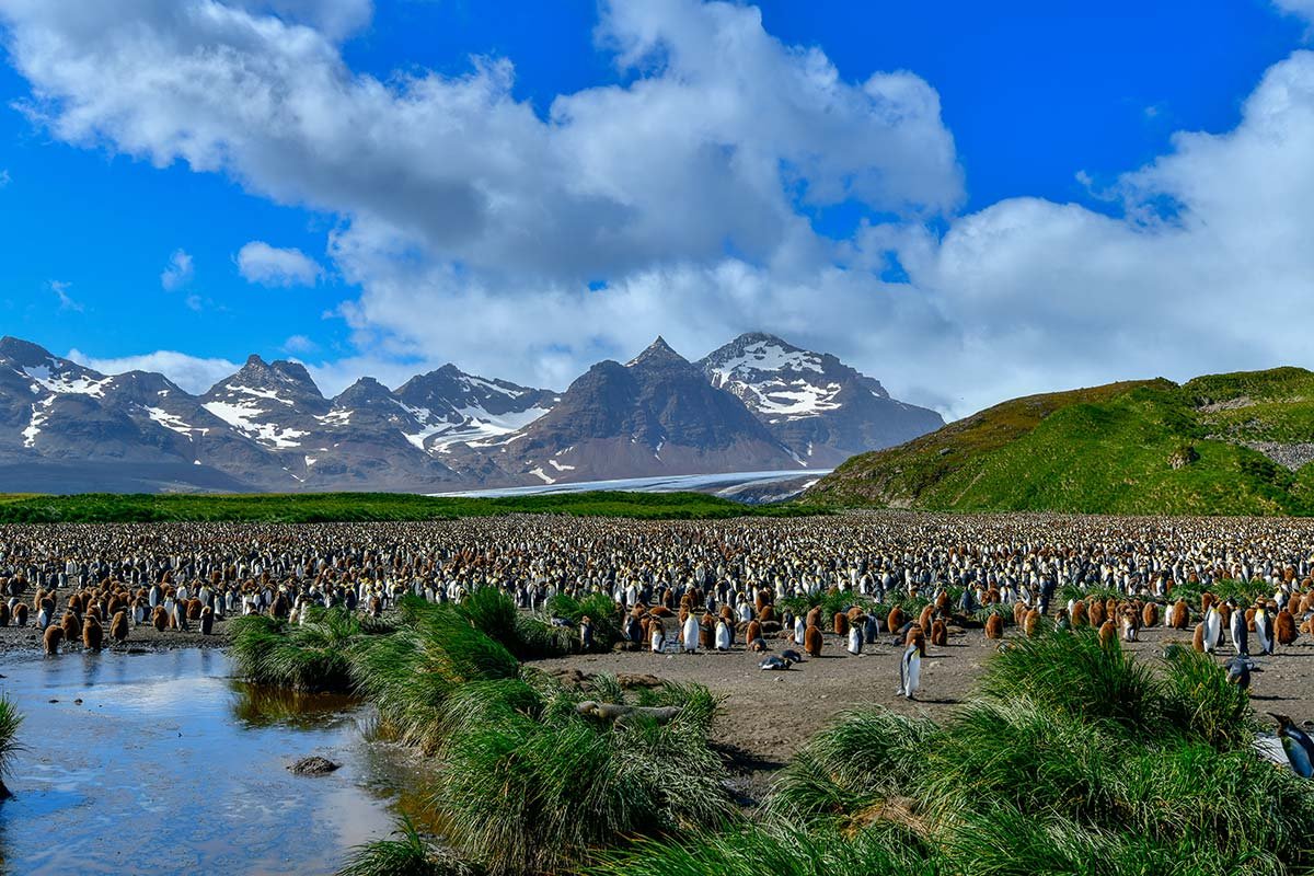 Falkland Islands